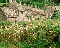 Old cottages with wild flowers, Arlington Row, Bibury, Cotswolds, Gloucestershire, UK.