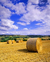 Straw bales in stubble field, Cotswolds, nr Winchcombe, Gloucestershire, UK Cotswolds Way