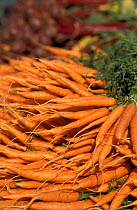 Carrots for sale at Farmers market {Daucus carota sativus} U