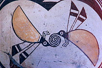 Two flying insects depicted on Mimbres bowl, New Mexico, USA