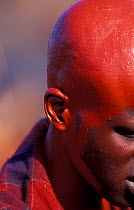 Masai warrior with shaved head, shiny with red ochre at Eunoto ceremony, Masai, Kenya