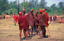 Group of Maasai warriors with shaved heads shiny with ochre at Eunoto ceremony, Masai, Kenya