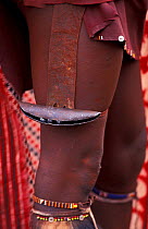 Lion bell fixed to warriors leg during Eunoto ceremony, Masai Mara, Kenya.