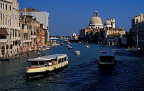 Grand canal with water buses + Santa Maria della Salute, Venice, Italy