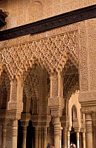 Stone carvings, The Palace of the Lions, The Alhambra, Granada, Spain