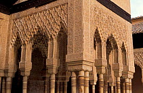 Stone carvings, The Palace of the Lions, The Alhambra, Granada, Spain
