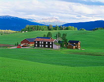 Traditional large farmhouse set against Rondane mountain, Vingelen, Norway, Europe