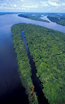Anavilhanas archipeligo in the Rio Negro, Brazil - permanently flooded forest
