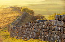 Hadrian's wall, looking west from Walltown Crags, Northumberland, UK 2003