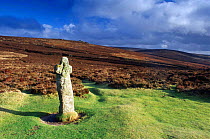 Bennet's cross on Dartmoor National Park, Devon, England