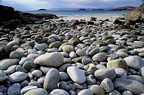 Stony beach on Knoydart Peninsula, Western Scotland.