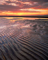 Mudflats at sunset during low tide, Solway Firth, Cumbria, UK.
