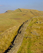 Hadrian's wall, view east from Walltown Crags, Northumberland, UK.