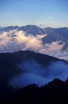 Mist over mountains and rainforest canopy, Taiwan, view south from Hohuan Shan