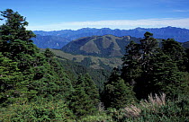 Bamboo grassland covered mountains, view north from Hohuan Shan, Taiwan