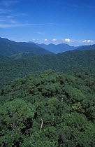 Mid elevation forests, Fu-shan, Taiwan