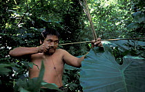 Aborigine of the Bunun tribe demonstrates use of bow and arrow, Taiwan