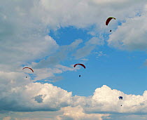 Paragliders, Selsley common, Gloucestershire, UK