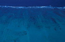 Aerial view of coastline, Ningaloo reef, Coral Bay, Western Australia