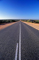 Road stretching into distance, Shark Bay, Western Australia