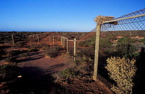 Vermin-proof fence, Project Eden, Shark Bay, Western Australia
