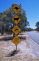 Sign warning of animals crossing road, Western Australia