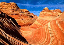 Vermillion Cliffs NM Paria Canyon Arizona USA