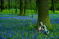 Miriam Rothschild with dogs in her bluebell wood, 1981 Northamptonshire, UK
