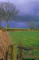 Winter farmland landscape with stormy sky, Much Marcle, Hereford and Worcester, UK