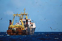 Fishing trawler surrounded by seabirds, South Africa