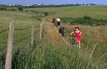 Cyclists pushing bicycles through field, Pembrokeshire, Wales.