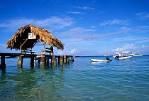 Beach hut on jetty at Pigeon Point, Tobago, West Indie