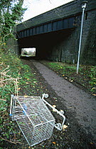 Shopping trolley abandoned on the Alban Way cycle path, Hertfordshire