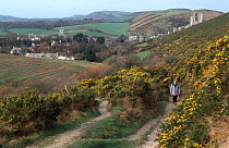 Purbeck way footpath, Corfe Castle, Dorset, England