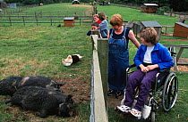 Disabled person at the Woodgate valley urban farm, Birmingham, England