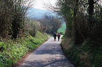 Ramblers walking down country lane, Kent, England
