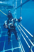 Doug Allan filming Great White sharks in shark cage Pacific Ocean, 2003