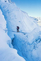 Climber crossing crevasse using ladder. Khumbu Ice Fall Mount Everest, Nepal Himylayas. Freeze Frame book plate page 145.