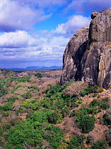 Yala National Park scenic, Sri Lanka, Asia.