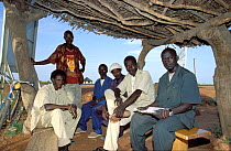 Local giraffe guides office, near main road to direct tourists. Sahel, Niger.