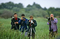 Twitchers and photographers at Baillon's Crake, Grove Ferry, Kent, UK