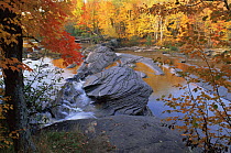 Big Ipon River in autumn, Michigan, USA