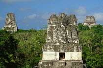 Mayan temples nos 2,3,4, Tikal ruins, Guatemala