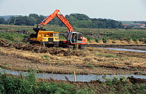 Lowering reedbeds, Titchwell Marsh RSPB reserve, Norfolk, UK. 2003