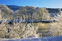 Frost and snow landscape, River Glass, Strathglass, Inverness-shire, UK