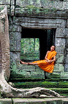 Buddhist Monk sitting in Ta Prohm Temple, Angkor, World Heritage Site, Cambodia