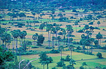 Looking over Siem Reap Province landscape, Angkor Wat area, Cambodia