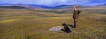 Young grouse shooter with black labrador dog. Cairngorms NP, Scotland, UK