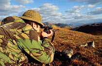 Deer stalker with gun waiting for deer to appear over ridge. Knoydart, Scotland, UK