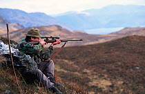 Deer stalker taking aim. Knoydart, Scotland, UK